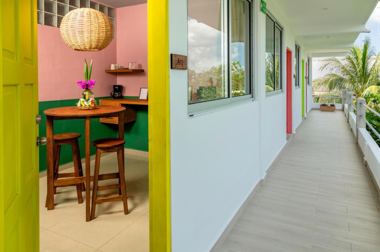 Albatros By Bedsfriends (Adults Only) Hotel Cozumel Kültér fotó